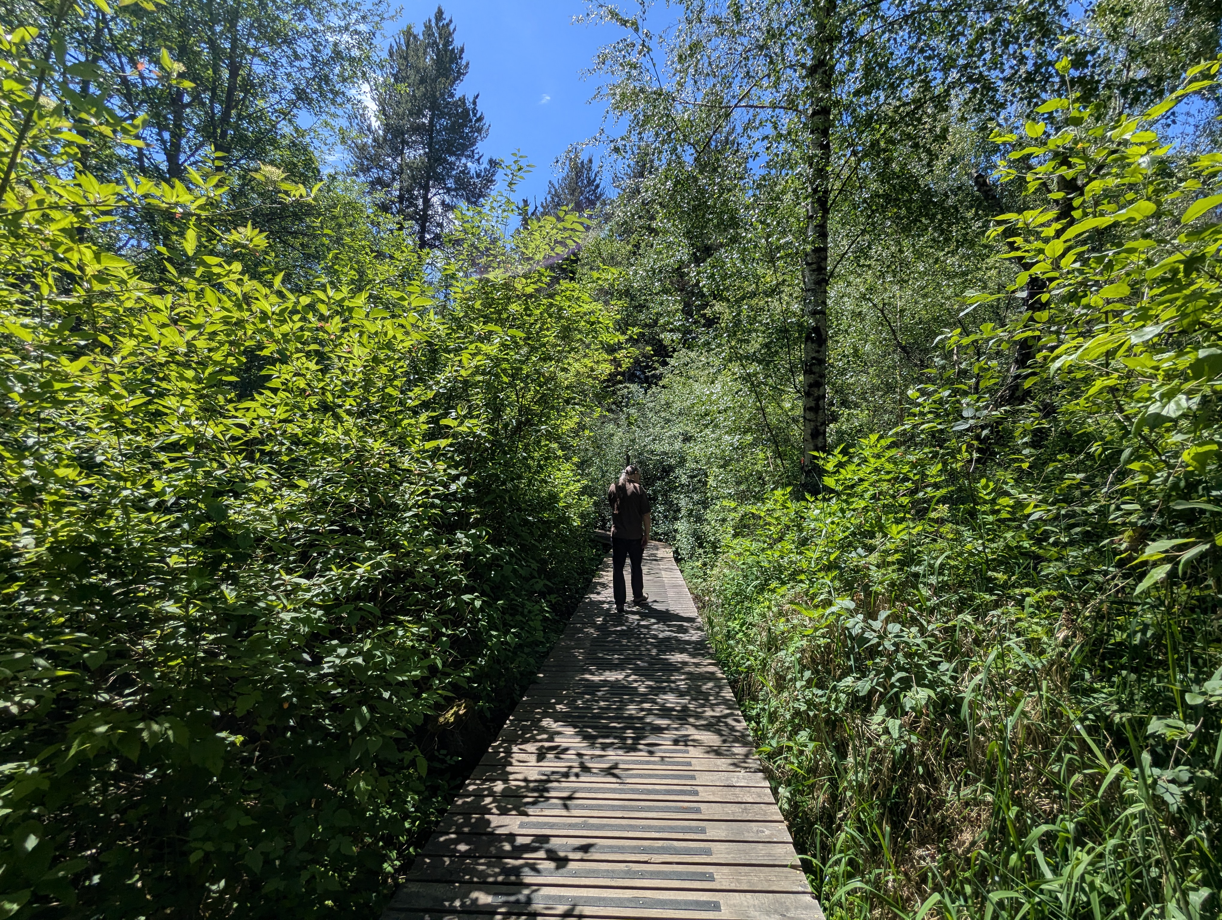 Birthday Trip to Canada, Delta, Burns Bog, Vancouver, British Columbia